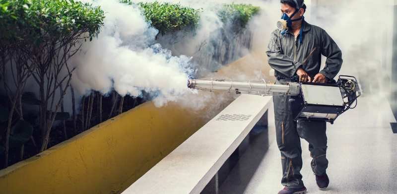 Pest Control Rawalpindi | Professional Pest Control Services